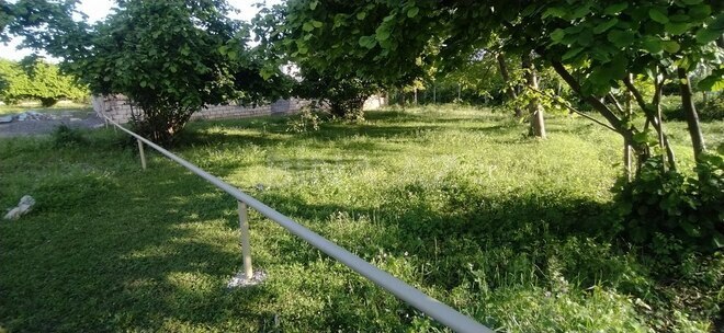 Участок - Габала - 5 сот (3)