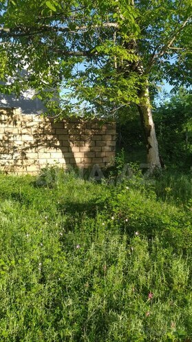 Участок - Габала - 5 сот (4)