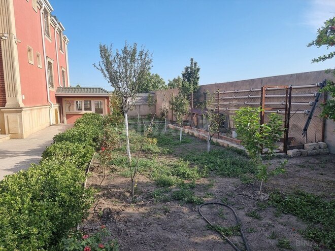 7 otaqlı həyət evi/bağ evi - Albalılıq q. - 352 m² (5)