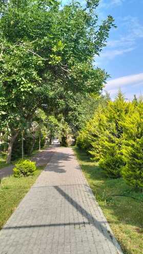 1-комн. вторичка - м. Кара Караев - 29 м² (4)