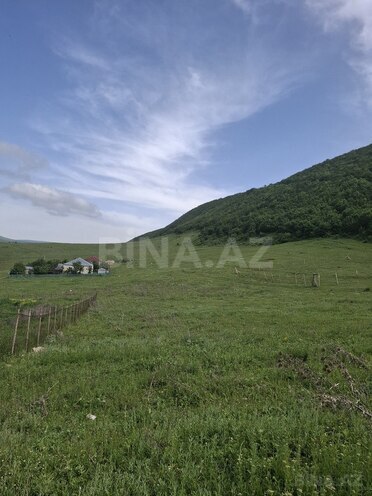 Torpaq - Şamaxı - 12 sot (6)