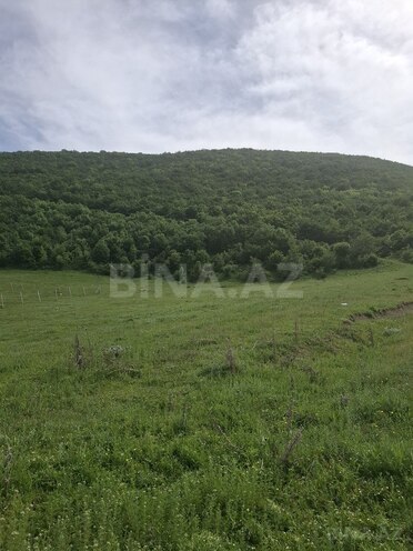 Torpaq - Şamaxı - 12 sot (7)