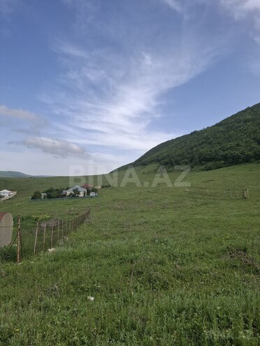 Torpaq - Şamaxı - 12 sot (4)