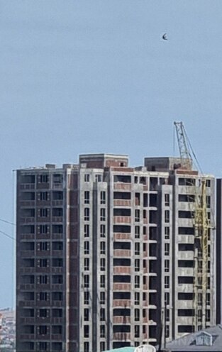 1 otaqlı yeni tikili - Azadlıq Prospekti m. - 56.2 m² (1)