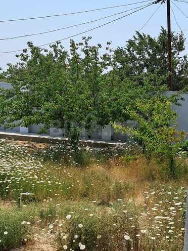 3 otaqlı həyət evi/bağ evi - Maştağa q. - 140 m² (6)