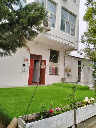 2-комн. офис - м. 20 января - 45 м² (1)