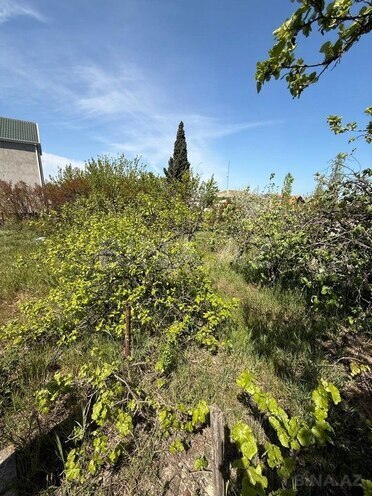 4 otaqlı həyət evi/bağ evi - Novxanı q. - 1500 m² (4)