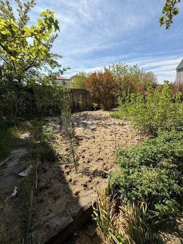 4 otaqlı həyət evi/bağ evi - Novxanı q. - 1500 m² (6)