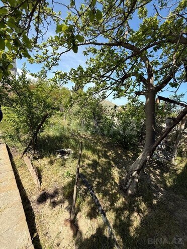 4 otaqlı həyət evi/bağ evi - Novxanı q. - 1500 m² (5)