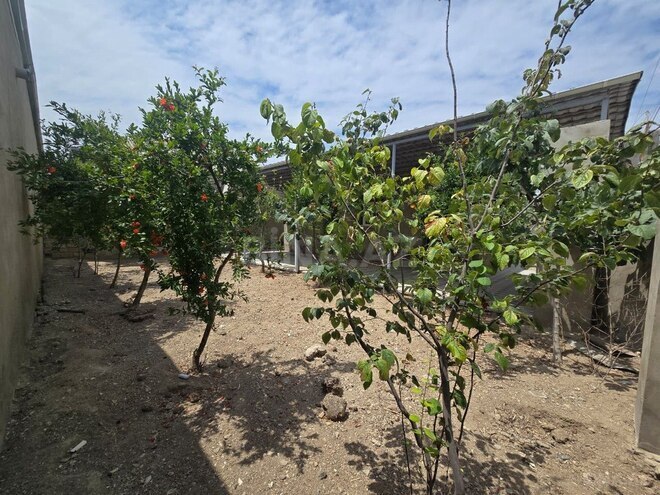 3 otaqlı həyət evi/bağ evi - Binə q. - 110 m² (2)