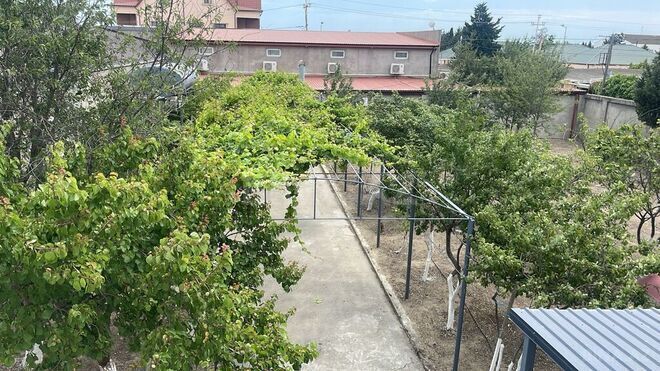 7 otaqlı həyət evi/bağ evi - Mərdəkan q. - 320 m² (4)
