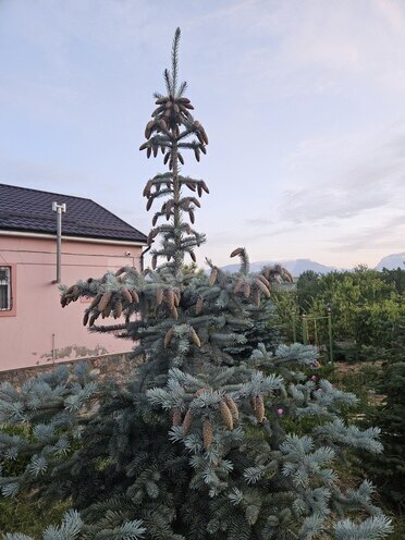4-комн. дом/дача - Гусар - 160 м² (6)