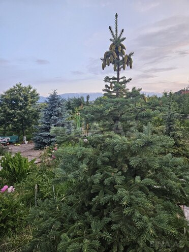 4-комн. дом/дача - Гусар - 160 м² (7)