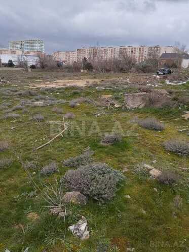 Torpaq - Massiv D q. - 2 sot (5)