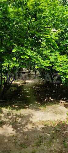 Участок - м. Насими - 4 сот (3)