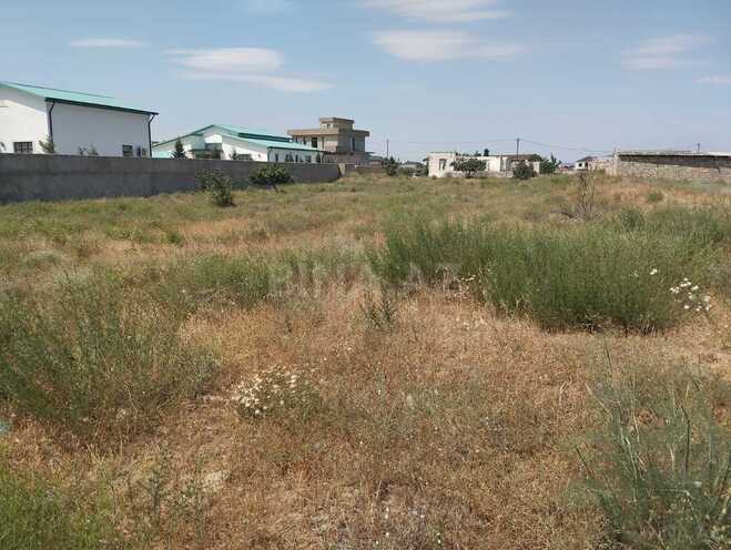 Torpaq - Nardaran q. - 25 sot (2)