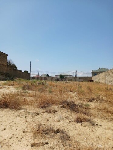 Torpaq - Badamdar q. - 16 sot (2)