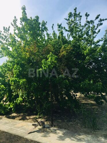 6-комн. дом/дача - пос. Мардакан - 275 м² (18)