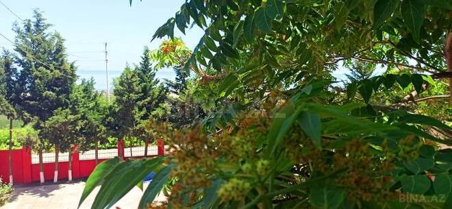 1 otaqlı həyət evi/bağ evi - Xudat - 30 m² (17)