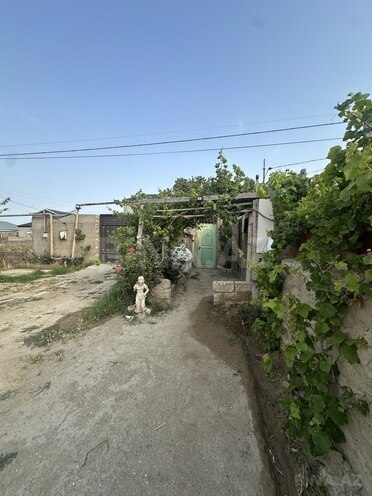 2 otaqlı həyət evi/bağ evi - Zabrat q. - 45 m² (1)