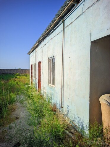 2 otaqlı həyət evi/bağ evi - Qala q. - 60 m² (21)