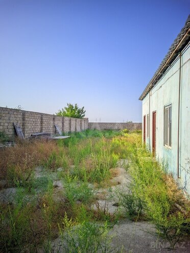2 otaqlı həyət evi/bağ evi - Qala q. - 60 m² (19)