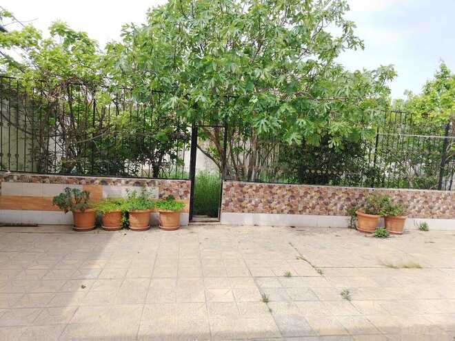 3 otaqlı həyət evi/bağ evi - Binə q. - 90 m² (15)