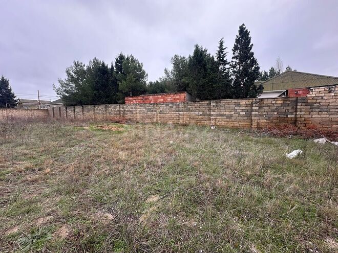 Участок - пос. Нардаран - 11 сот (1)