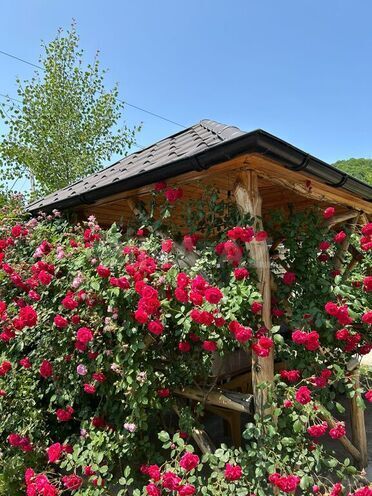 4 otaqlı həyət evi/bağ evi - Qusar - 100 m² (2)