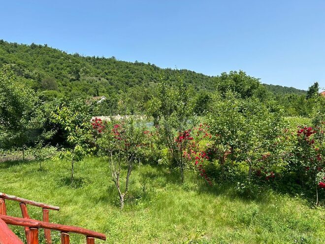 4 otaqlı həyət evi/bağ evi - Qusar - 100 m² (1)