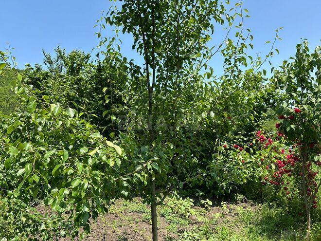 4 otaqlı həyət evi/bağ evi - Qusar - 100 m² (6)