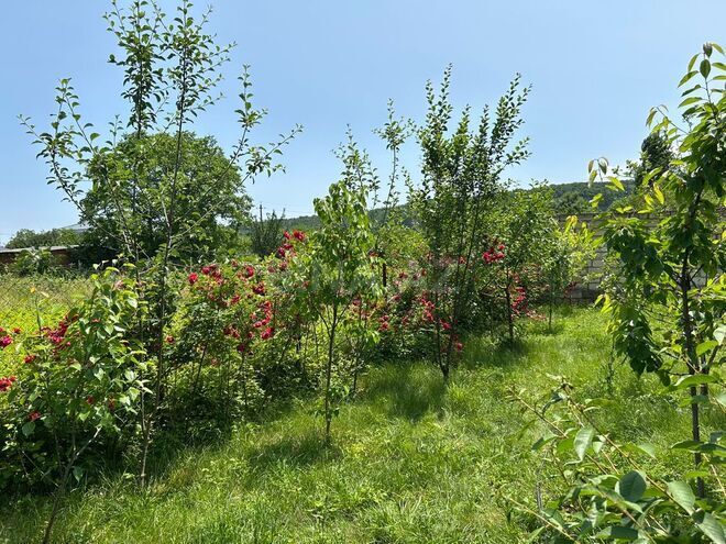 4 otaqlı həyət evi/bağ evi - Qusar - 100 m² (10)