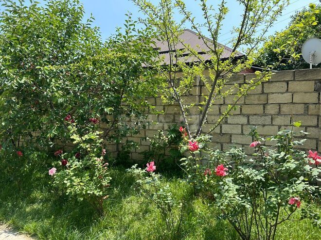 4 otaqlı həyət evi/bağ evi - Qusar - 100 m² (8)