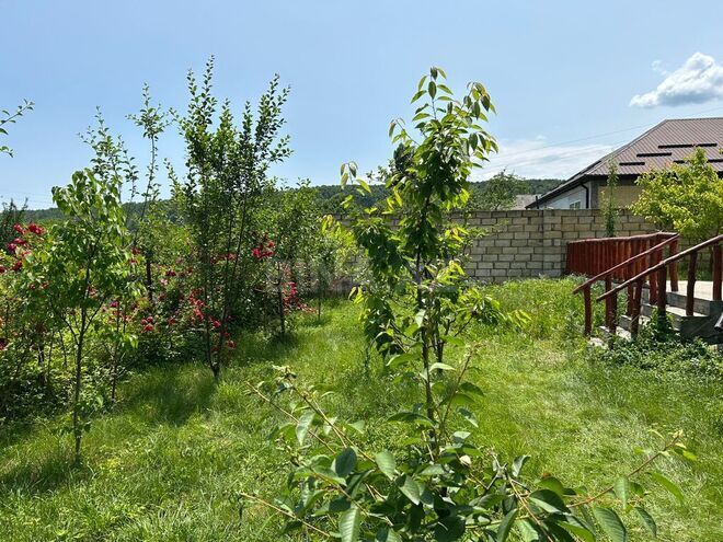4 otaqlı həyət evi/bağ evi - Qusar - 100 m² (4)