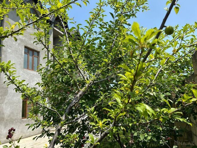 4 otaqlı həyət evi/bağ evi - Qusar - 100 m² (3)