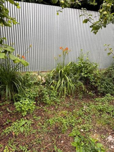 4 otaqlı həyət evi/bağ evi - İsmayıllı - 120 m² (10)