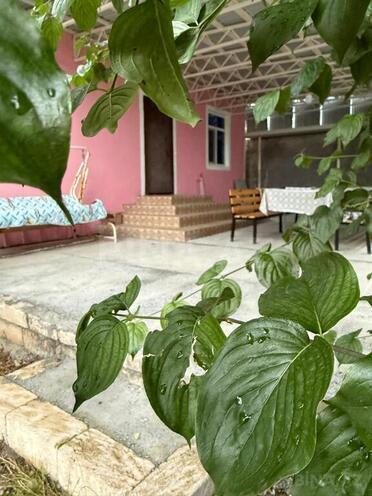 4 otaqlı həyət evi/bağ evi - İsmayıllı - 120 m² (26)