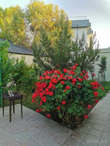 5 otaqlı həyət evi/bağ evi - Buzovna q. - 300 m² (5)