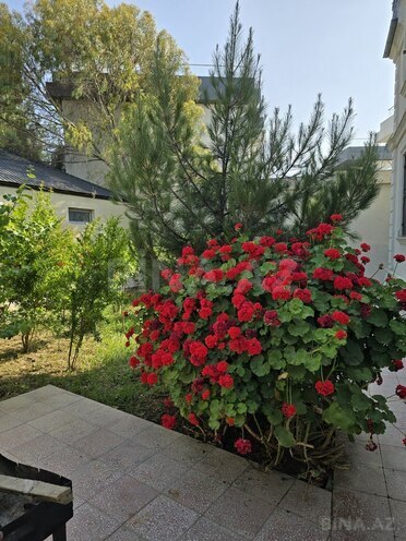 5 otaqlı həyət evi/bağ evi - Buzovna q. - 300 m² (28)