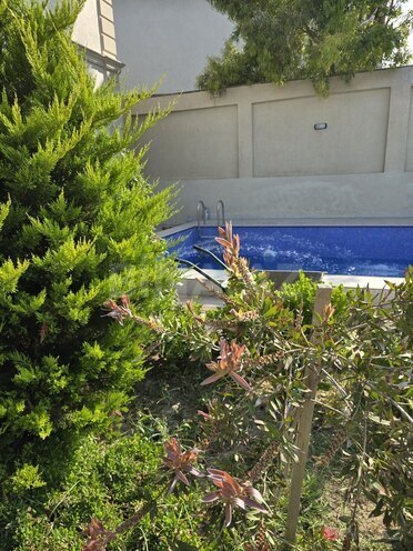 5 otaqlı həyət evi/bağ evi - Buzovna q. - 300 m² (30)