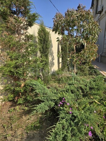 5 otaqlı həyət evi/bağ evi - Buzovna q. - 300 m² (29)