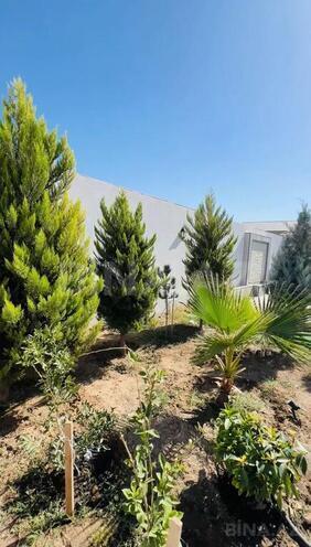 4 otaqlı həyət evi/bağ evi - Albalılıq q. - 200 m² (9)