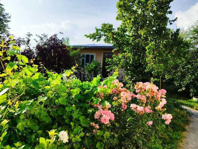 2 otaqlı həyət evi/bağ evi - İsmayıllı - 55 m² (5)