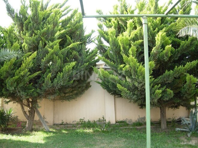 5 otaqlı həyət evi/bağ evi - Buzovna q. - 290 m² (26)