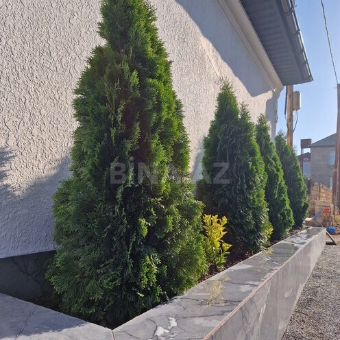 7 otaqlı həyət evi/bağ evi - Badamdar q. - 450 m² (16)