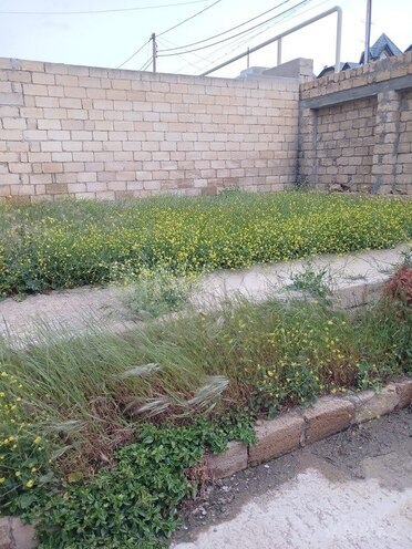 7 otaqlı həyət evi/bağ evi - Badamdar q. - 380 m² (4)