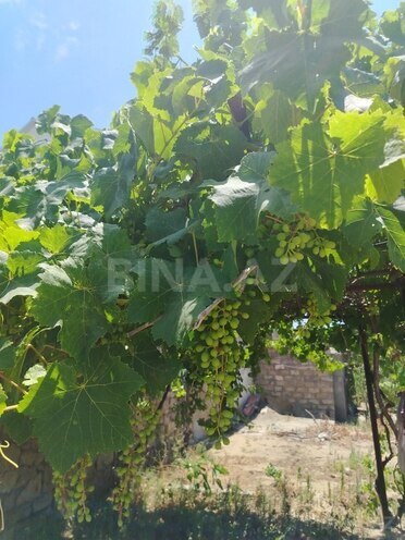 5 otaqlı həyət evi/bağ evi - Şüvəlan q. - 150 m² (6)