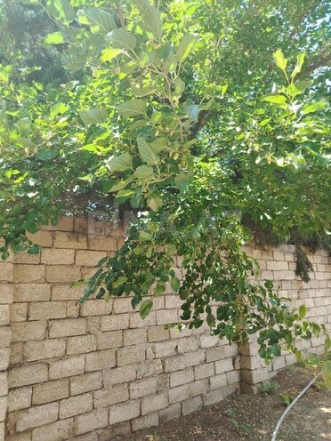 5 otaqlı həyət evi/bağ evi - Şüvəlan q. - 150 m² (4)