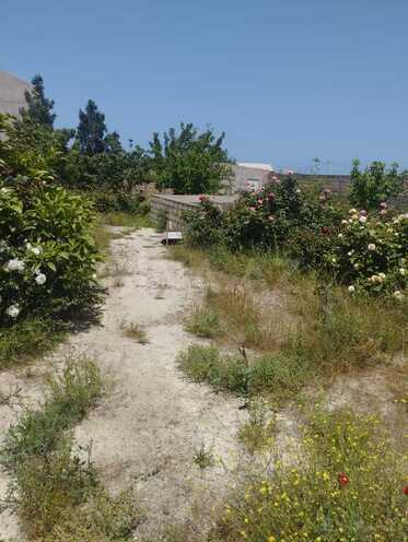 3 otaqlı həyət evi/bağ evi - Dübəndi q. - 100 m² (10)