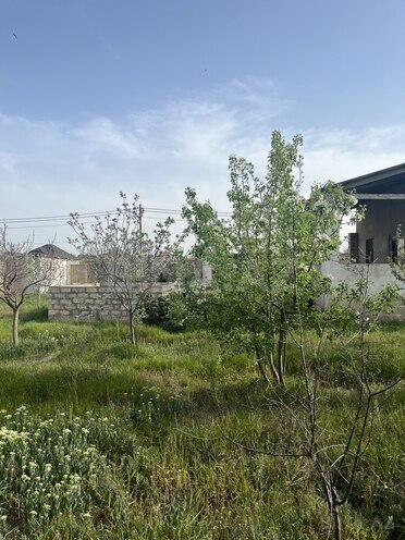 3 otaqlı həyət evi/bağ evi - Dübəndi q. - 100 m² (16)